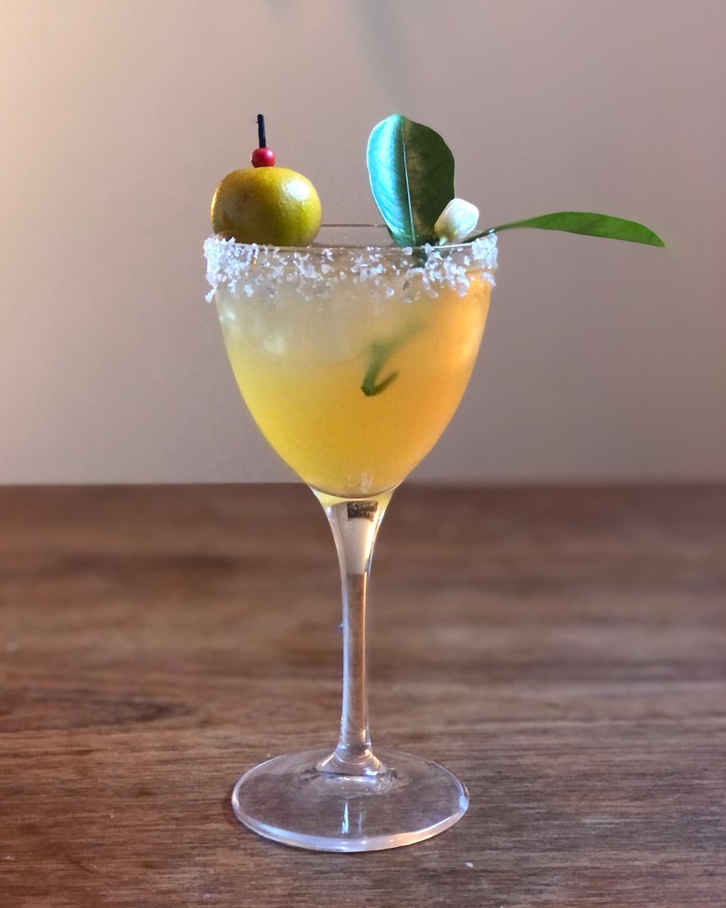 Citrus cocktail with salt rim and kumquat garnish